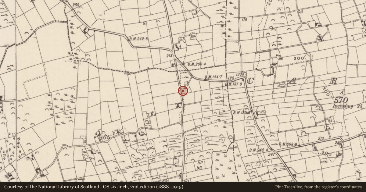 Ordnance Survey six-inch map, 2nd edition (1888–1915) covering the location of 4 Bettys Hill Road, Greenan, Newry, Mourne and Down, with a pin at the register's coordinates