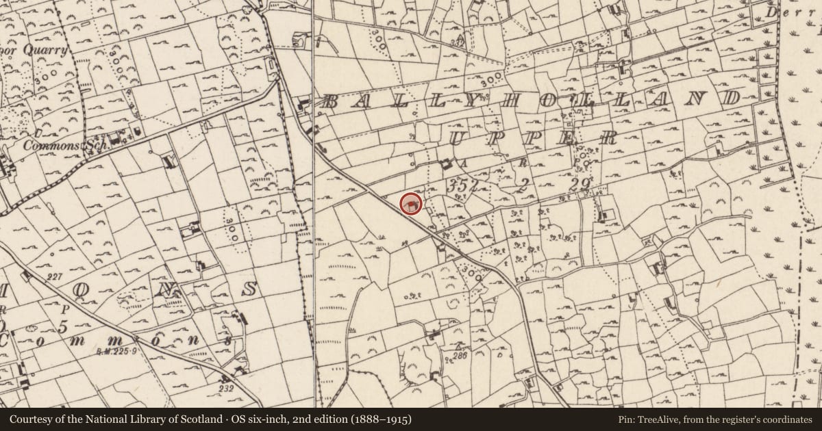 Ordnance Survey six-inch map, 2nd edition (1888–1915) covering the location of 42 Bettys Hill Road, Ballyholland, Newry, Mourne and Down, with a pin at the register's coordinates