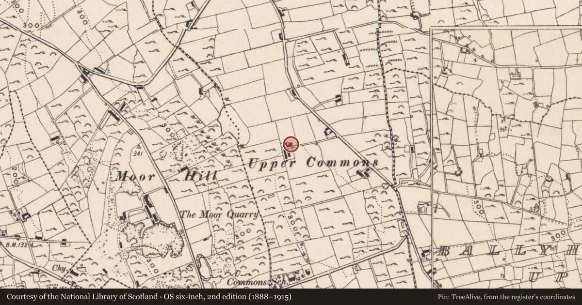 Ordnance Survey six-inch map, 2nd edition (1888–1915) covering the location of 61 Bettys Hill Road, Commons, Newry, Mourne and Down, with a pin at the register's coordinates