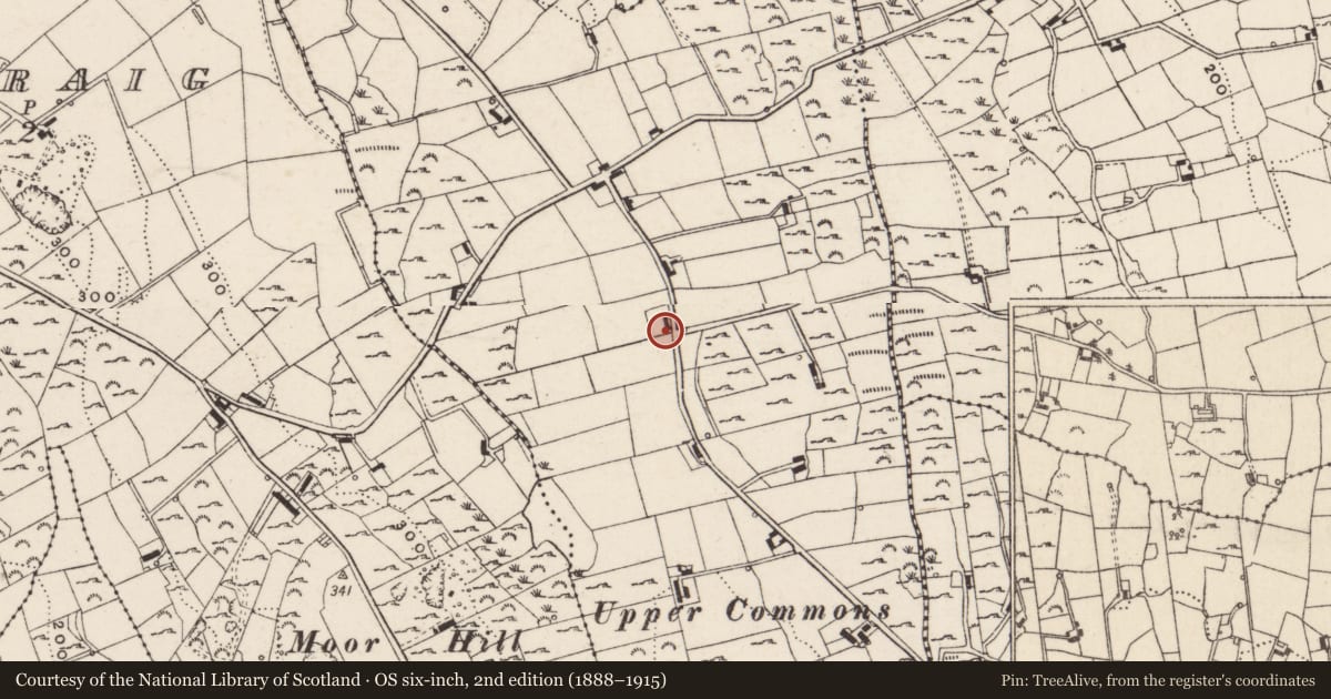 Ordnance Survey six-inch map, 2nd edition (1888–1915) covering the location of 9 Bettys Hill Road, Commons, Newry, Mourne and Down, with a pin at the register's coordinates