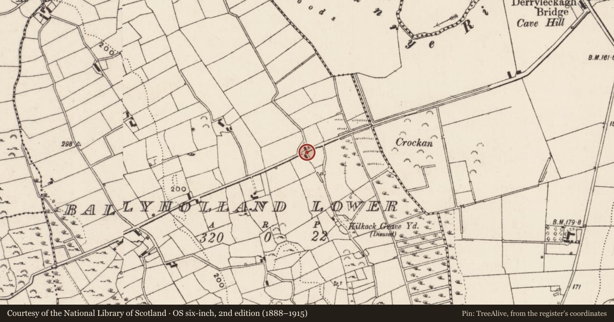 Ordnance Survey six-inch map, 2nd edition (1888–1915) covering the location of 54 Ballyholland Road, Ballyholland Lower, Newry, Mourne and Down, with a pin at the register's coordinates
