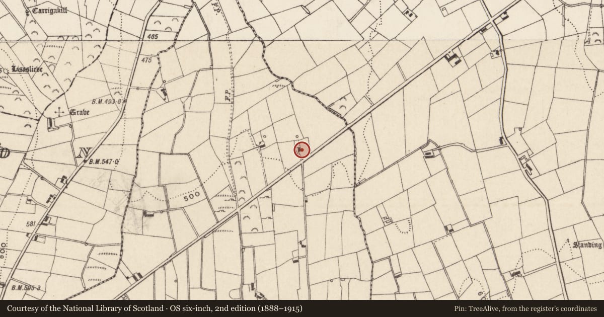 Ordnance Survey six-inch map, 2nd edition (1888–1915) covering the location of House, Tamnaharry, Newry, Mourne and Down, with a pin at the register's coordinates