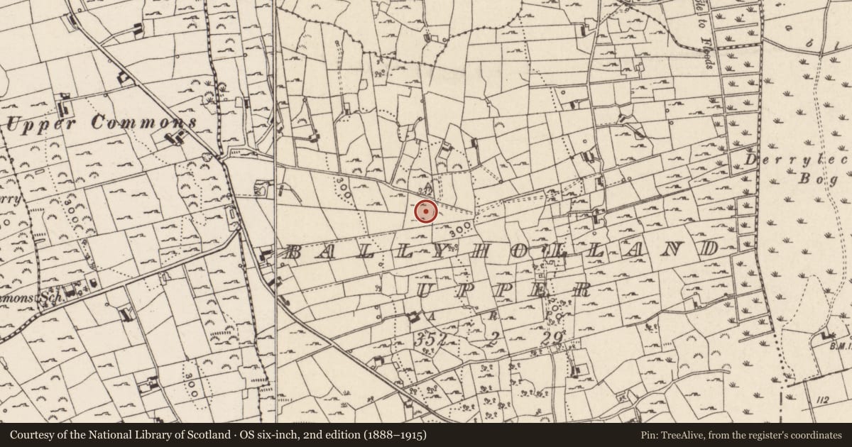 Ordnance Survey six-inch map, 2nd edition (1888–1915) covering the location of Craig-na-Altair, Ballyholland Upper, Newry, Mourne and Down, with a pin at the register's coordinates