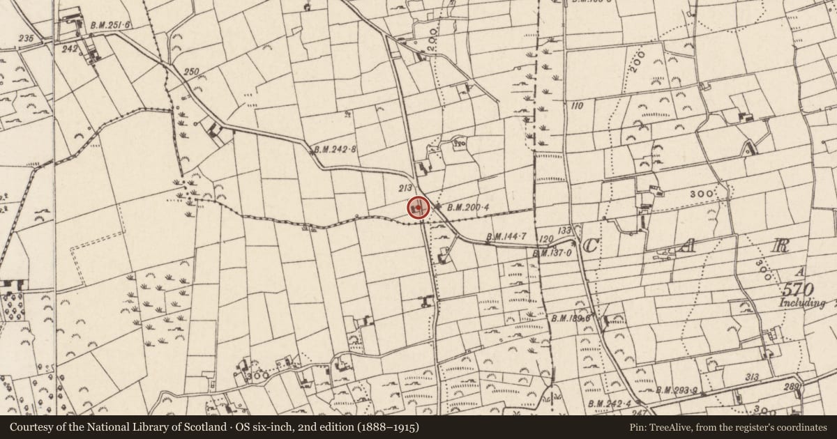 Ordnance Survey six-inch map, 2nd edition (1888–1915) covering the location of Telephone Kiosk, Ballyholland Upper, Newry, Mourne and Down, with a pin at the register's coordinates