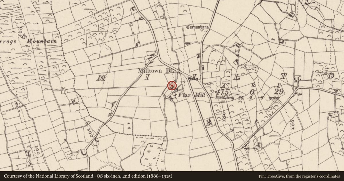 Ordnance Survey six-inch map, 2nd edition (1888–1915) covering the location of Mill, Milltown, Newry, Mourne and Down, with a pin at the register's coordinates
