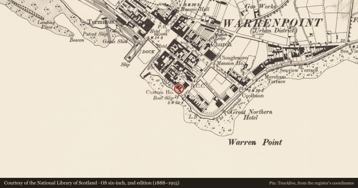Ordnance Survey six-inch map, 2nd edition (1888–1915) covering the location of 13 Havelock Place, Ringmackilroy, Newry, Mourne and Down, with a pin at the register's coordinates