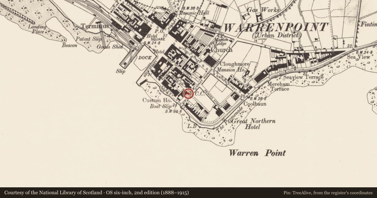 Ordnance Survey six-inch map, 2nd edition (1888–1915) covering the location of 12 St Peter Street, Ringmackilroy, Newry, Mourne and Down, with a pin at the register's coordinates
