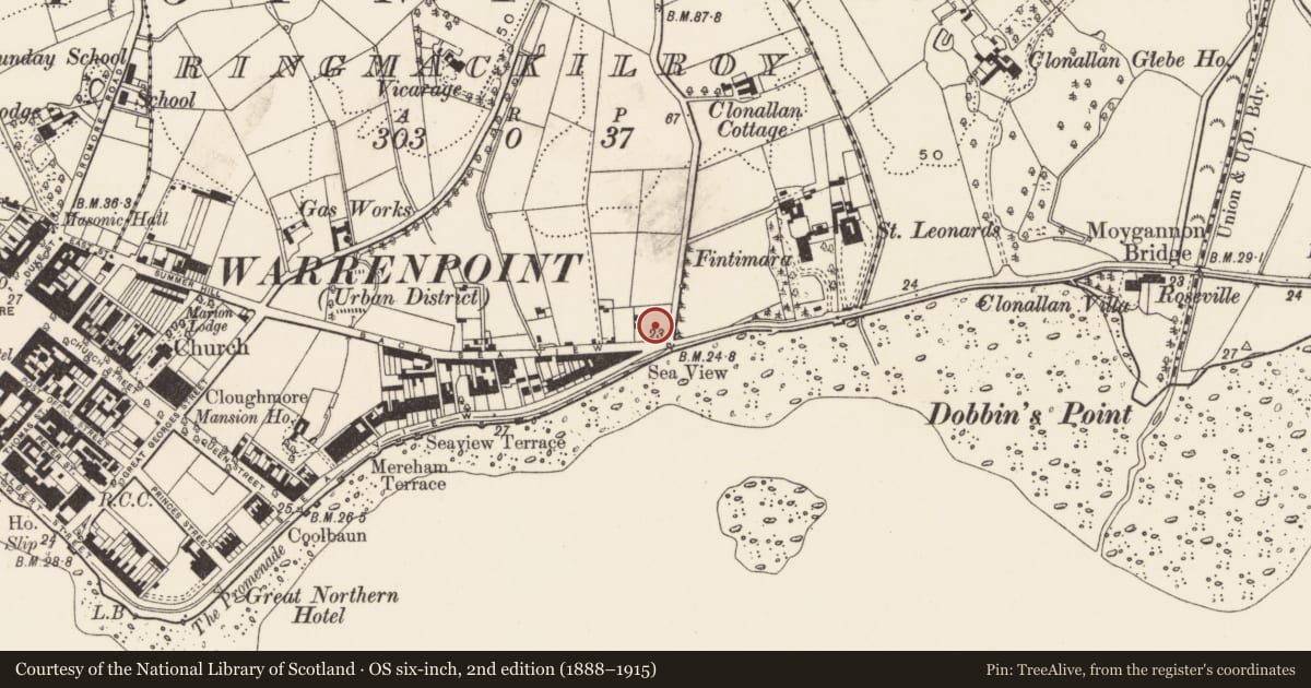 Ordnance Survey six-inch map, 2nd edition (1888–1915) covering the location of St Brelade's, Ringmackilroy, Newry, Mourne and Down, with a pin at the register's coordinates