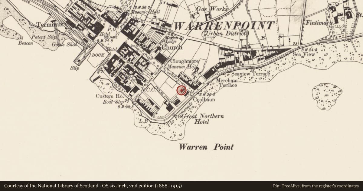 Ordnance Survey six-inch map, 2nd edition (1888–1915) covering the location of Public toilets in the Town Park, Ringmackilroy, Newry, Mourne and Down, with a pin at the register's coordinates