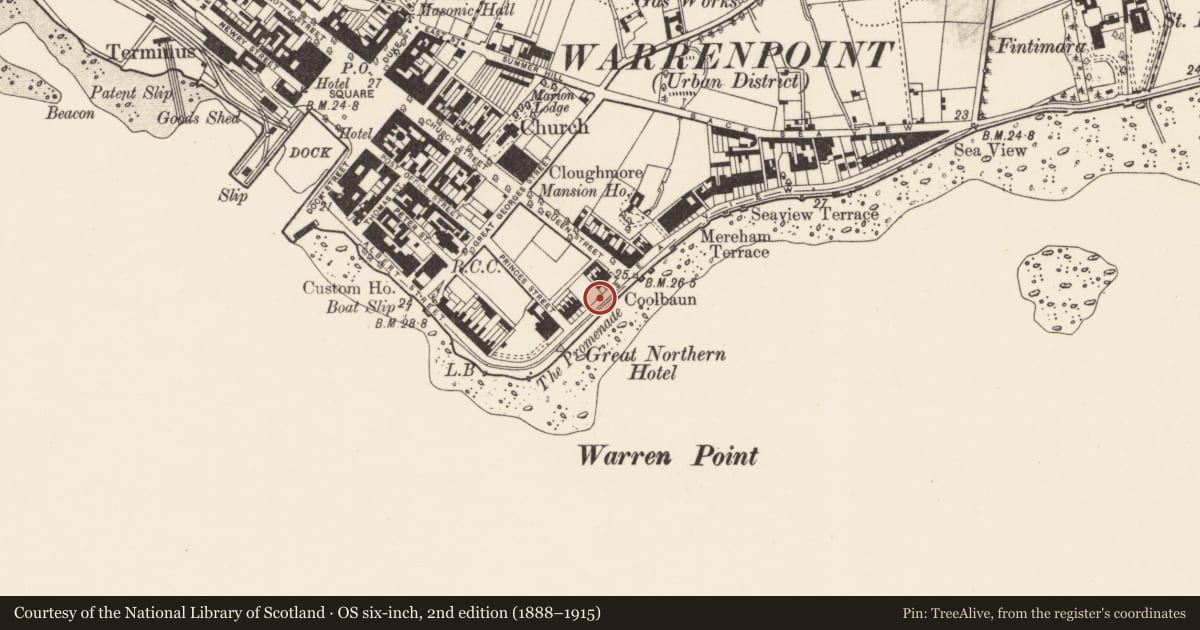 Ordnance Survey six-inch map, 2nd edition (1888–1915) covering the location of Shelter in the Town Park, Ringmackilroy, Newry, Mourne and Down, with a pin at the register's coordinates