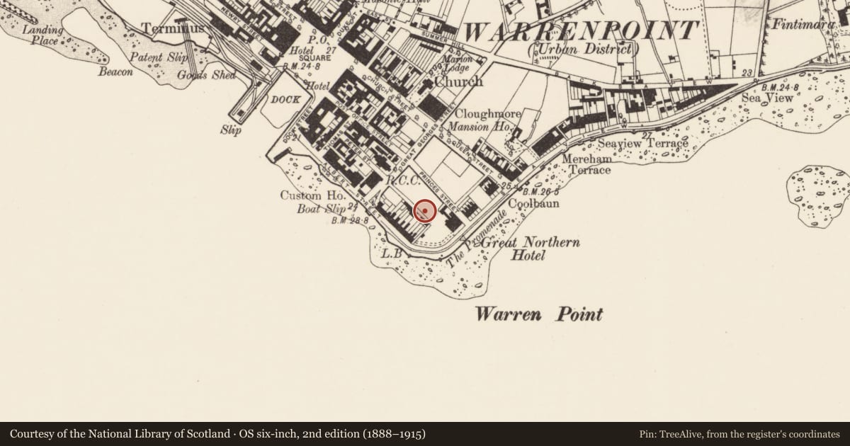 Ordnance Survey six-inch map, 2nd edition (1888–1915) covering the location of Pavillion, Ringmacilroy, Newry, Mourne and Down, with a pin at the register's coordinates