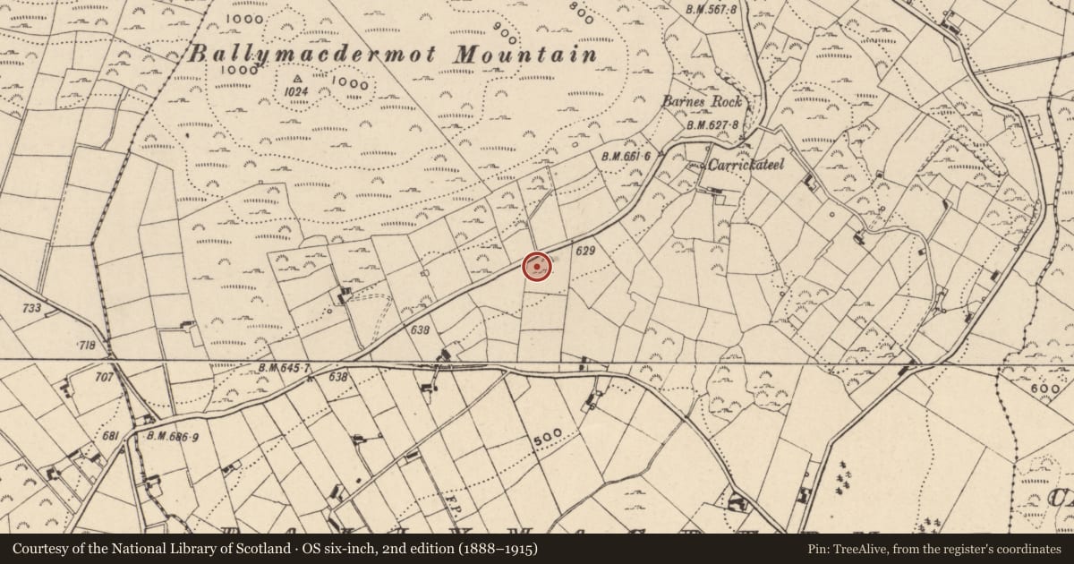 Ordnance Survey six-inch map, 2nd edition (1888–1915) covering the location of Court Tomb, Ballymacdermot, Newry, Mourne and Down, with a pin at the register's coordinates
