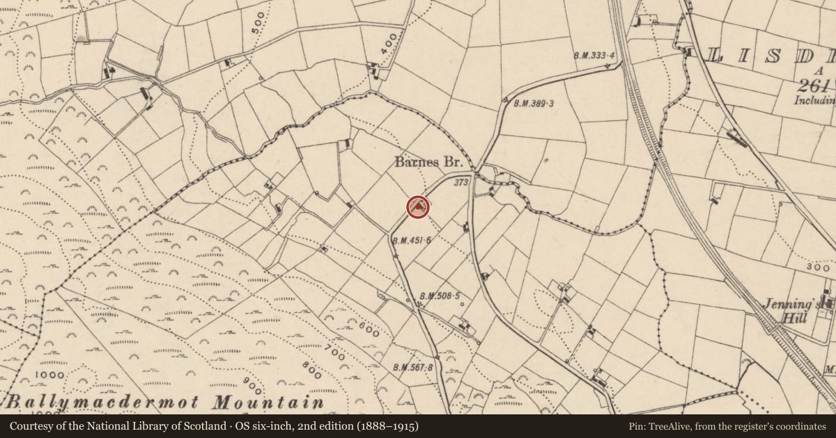 Ordnance Survey six-inch map, 2nd edition (1888–1915) covering the location of Cottage SW of Bernish Bridge, Ballymacdermot, Newry, Mourne and Down, with a pin at the register's coordinates