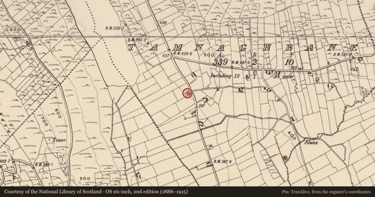 Ordnance Survey six-inch map, 2nd edition (1888–1915) covering the location of Dwelling 620m south of 92 Chapel Road, Tamnaghbane, Newry, Mourne and Down, with a pin at the register's coordinates
