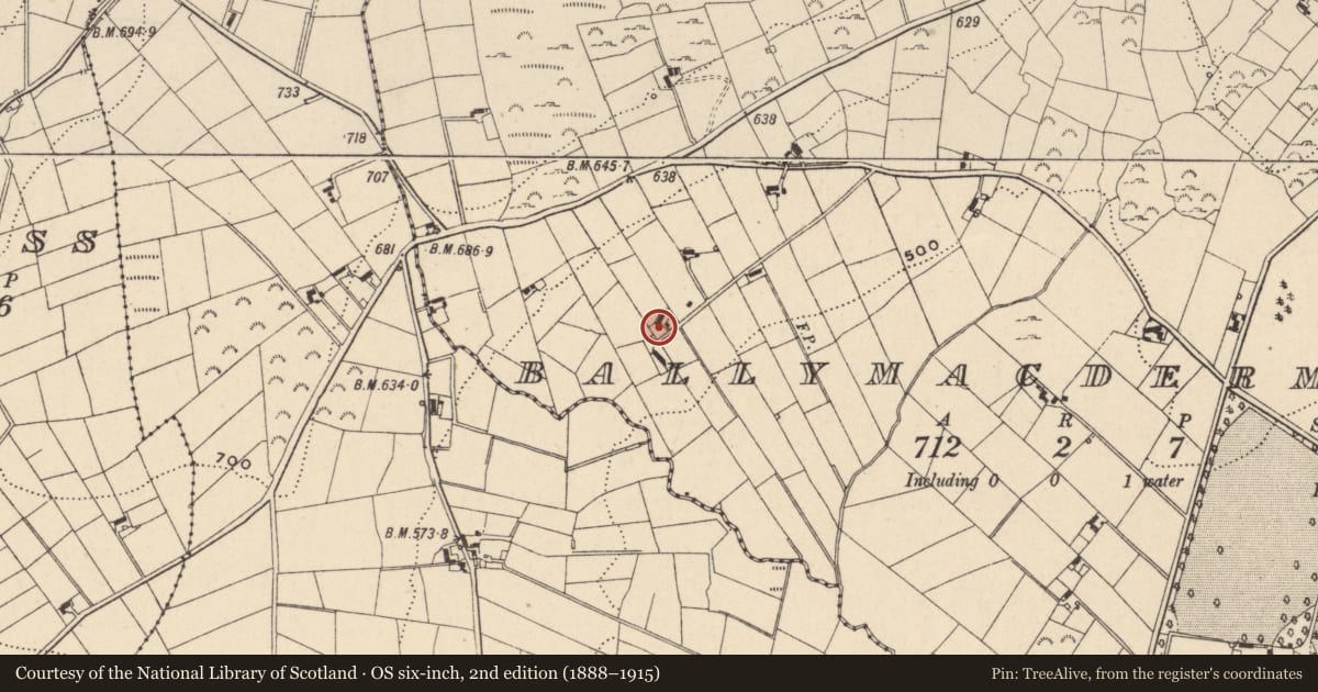 Ordnance Survey six-inch map, 2nd edition (1888–1915) covering the location of 14 Seavers Road, Ballymacdermot, Newry, Mourne and Down, with a pin at the register's coordinates