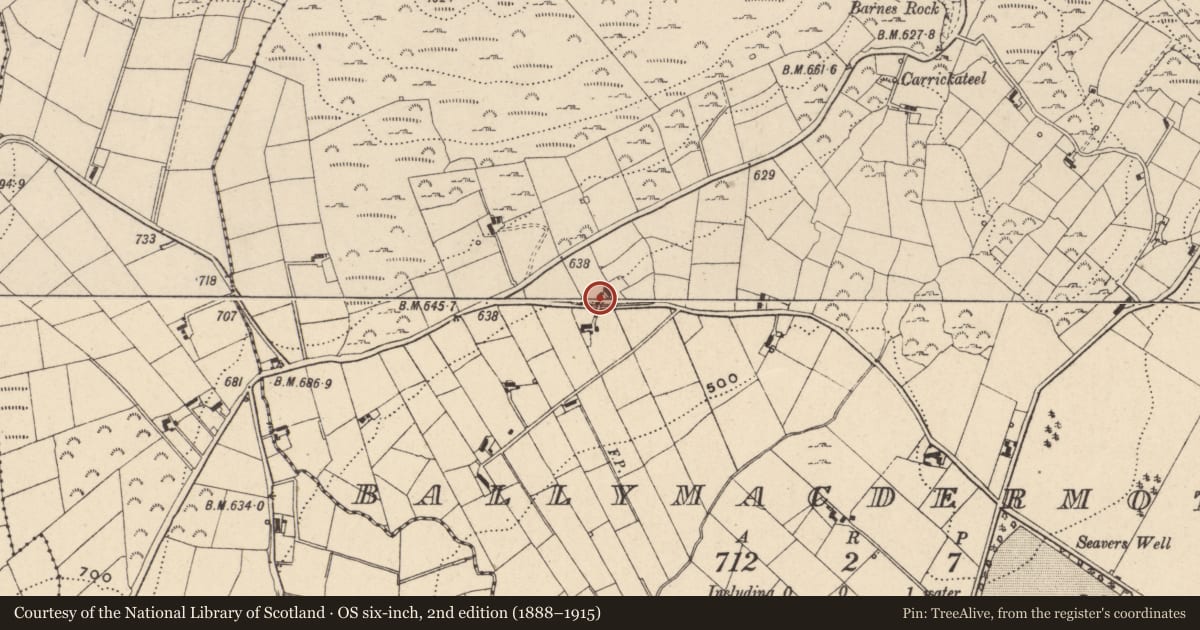 Ordnance Survey six-inch map, 2nd edition (1888–1915) covering the location of 15 Seavers Road, Ballymacdermott, Newry, Mourne and Down, with a pin at the register's coordinates