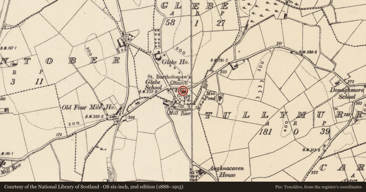 Ordnance Survey six-inch map, 2nd edition (1888–1915) covering the location of John Martin's grave, Glebe, Newry, Mourne and Down, with a pin at the register's coordinates