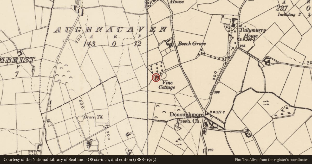 Ordnance Survey six-inch map, 2nd edition (1888–1915) covering the location of Vine Cottage/House, Aughnacavan, Newry, Mourne and Down, with a pin at the register's coordinates