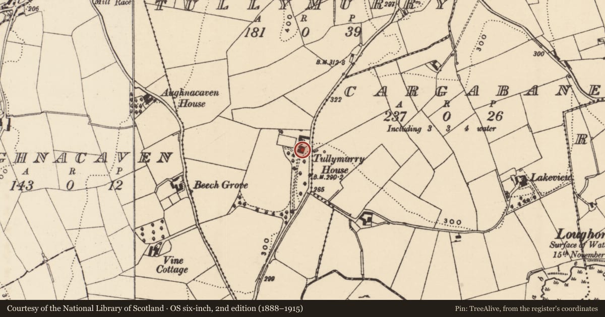 Ordnance Survey six-inch map, 2nd edition (1888–1915) covering the location of Tullymurry House, Newry, Mourne and Down, with a pin at the register's coordinates