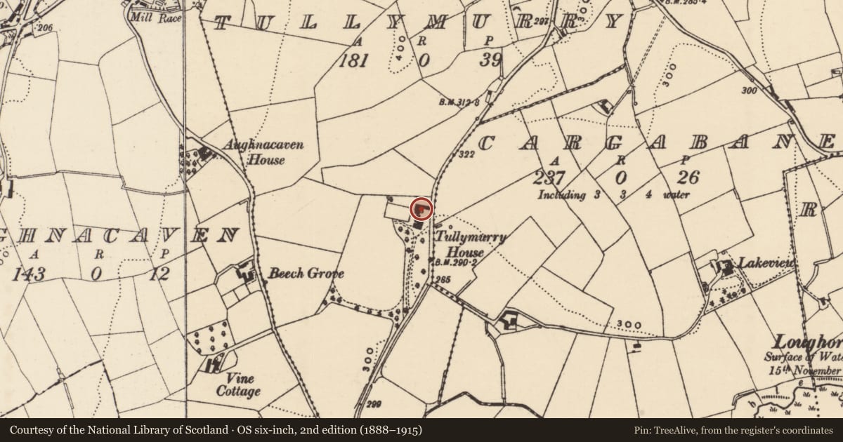 Ordnance Survey six-inch map, 2nd edition (1888–1915) covering the location of Outbuildings, Tullymurry, Newry, Mourne and Down, with a pin at the register's coordinates