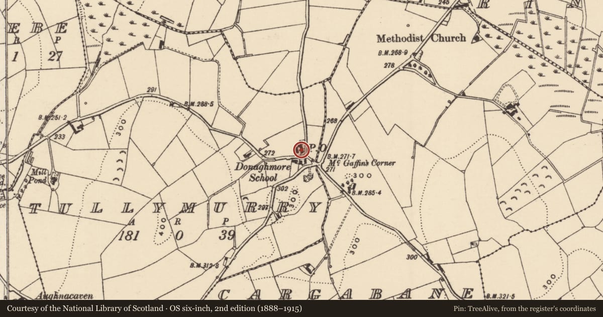 Ordnance Survey six-inch map, 2nd edition (1888–1915) covering the location of 2 Ringclare Road, Tullymurry, Newry, Mourne and Down, with a pin at the register's coordinates