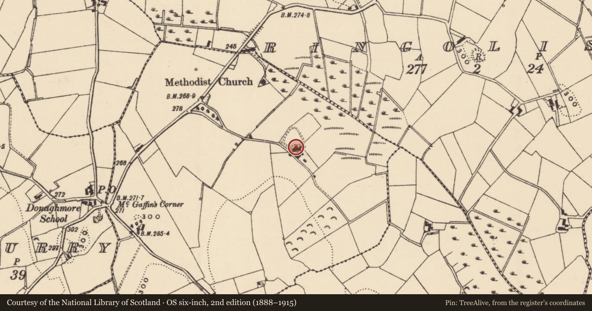 Ordnance Survey six-inch map, 2nd edition (1888–1915) covering the location of Cargabane House, Newry, Mourne and Down, with a pin at the register's coordinates