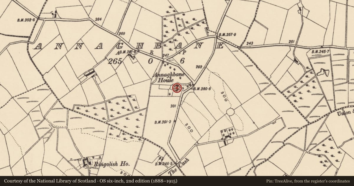 Ordnance Survey six-inch map, 2nd edition (1888–1915) covering the location of Annaghbane House, Newry, Mourne and Down, with a pin at the register's coordinates