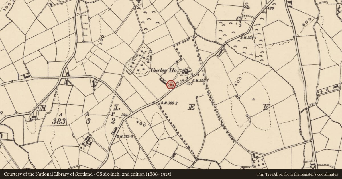 Ordnance Survey six-inch map, 2nd edition (1888–1915) covering the location of Thatched structure, Curley, Newry, Mourne and Down, with a pin at the register's coordinates