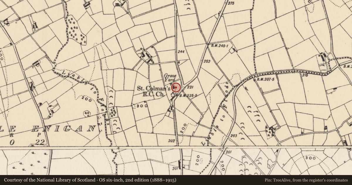 Ordnance Survey six-inch map, 2nd edition (1888–1915) covering the location of St Colman's RC Church, Shinn, Newry, Mourne and Down, with a pin at the register's coordinates