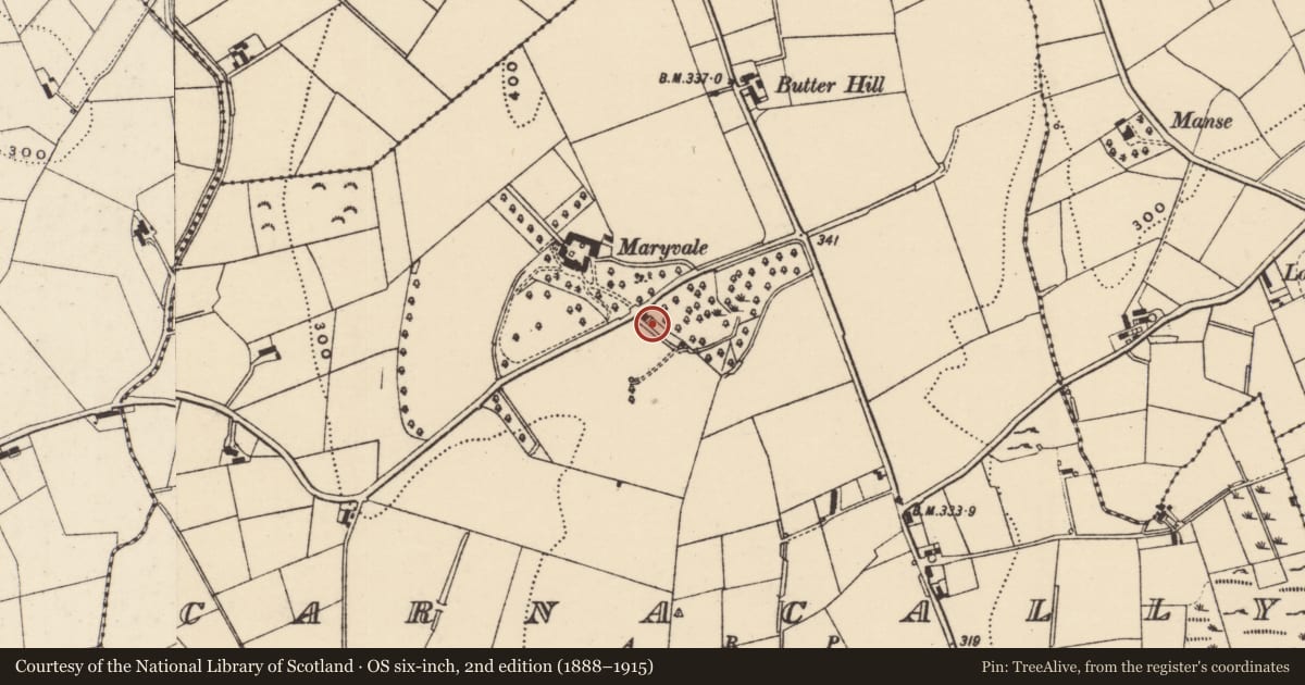 Ordnance Survey six-inch map, 2nd edition (1888–1915) covering the location of Lodge to Maryvale, Carnacally, Newry, Mourne and Down, with a pin at the register's coordinates