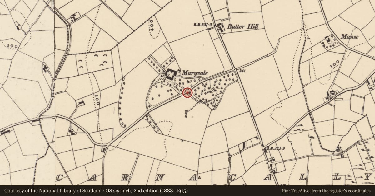 Ordnance Survey six-inch map, 2nd edition (1888–1915) covering the location of Gates at Maryvale, Carnacally, Newry, Mourne and Down, with a pin at the register's coordinates