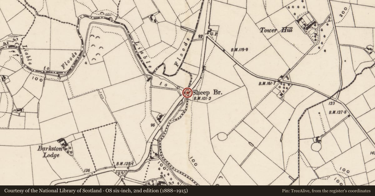 Ordnance Survey six-inch map, 2nd edition (1888–1915) covering the location of Sheep Bridge, Corcreeghy/Carmeen, Newry, Mourne and Down, with a pin at the register's coordinates