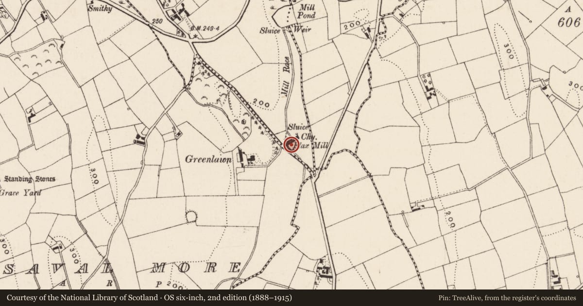 Ordnance Survey six-inch map, 2nd edition (1888–1915) covering the location of Flax Mill, Castle Enigan, Newry, Mourne and Down, with a pin at the register's coordinates