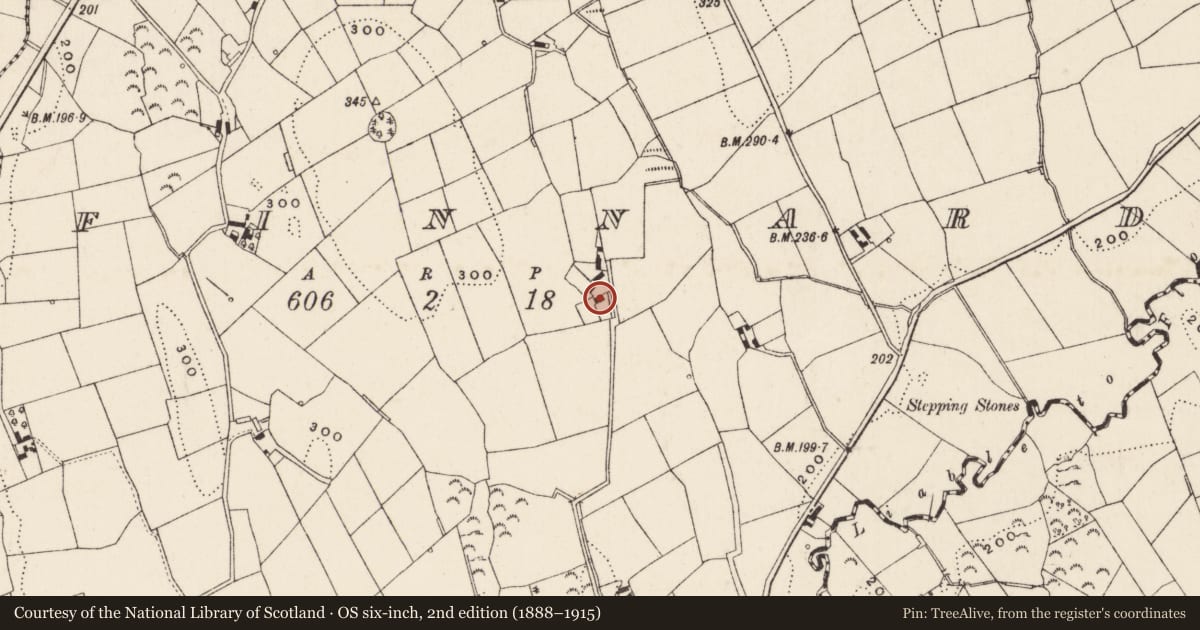 Ordnance Survey six-inch map, 2nd edition (1888–1915) covering the location of Finnard House, Newry, Mourne and Down, with a pin at the register's coordinates