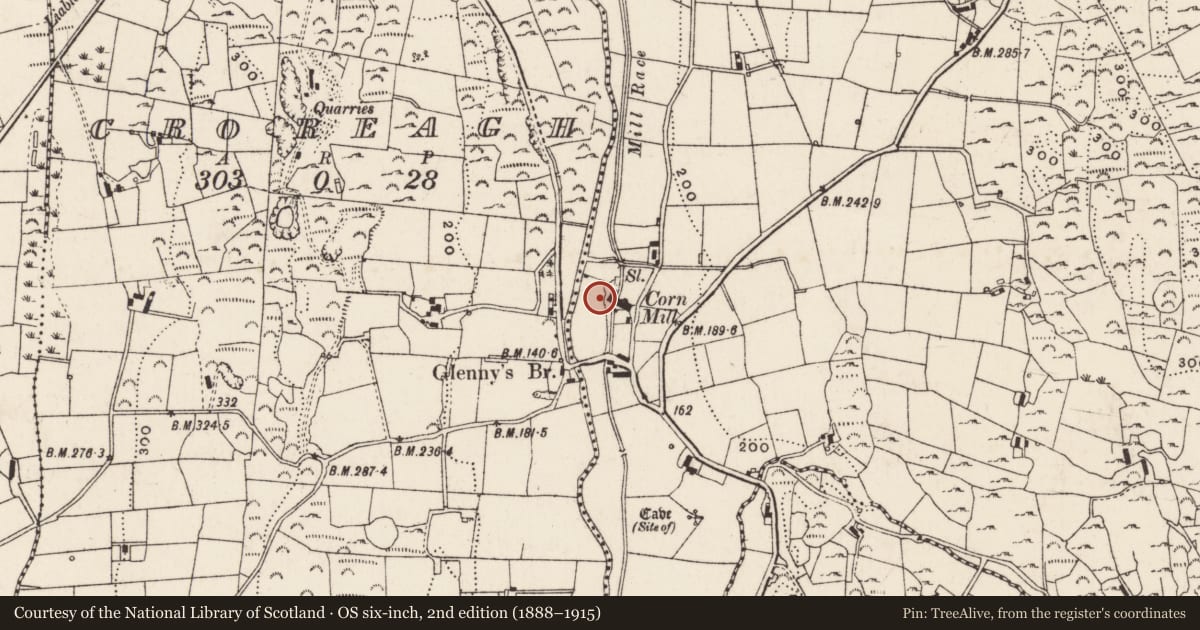 Ordnance Survey six-inch map, 2nd edition (1888–1915) covering the location of Glenvale Mill, Desert, Newry, Mourne and Down, with a pin at the register's coordinates