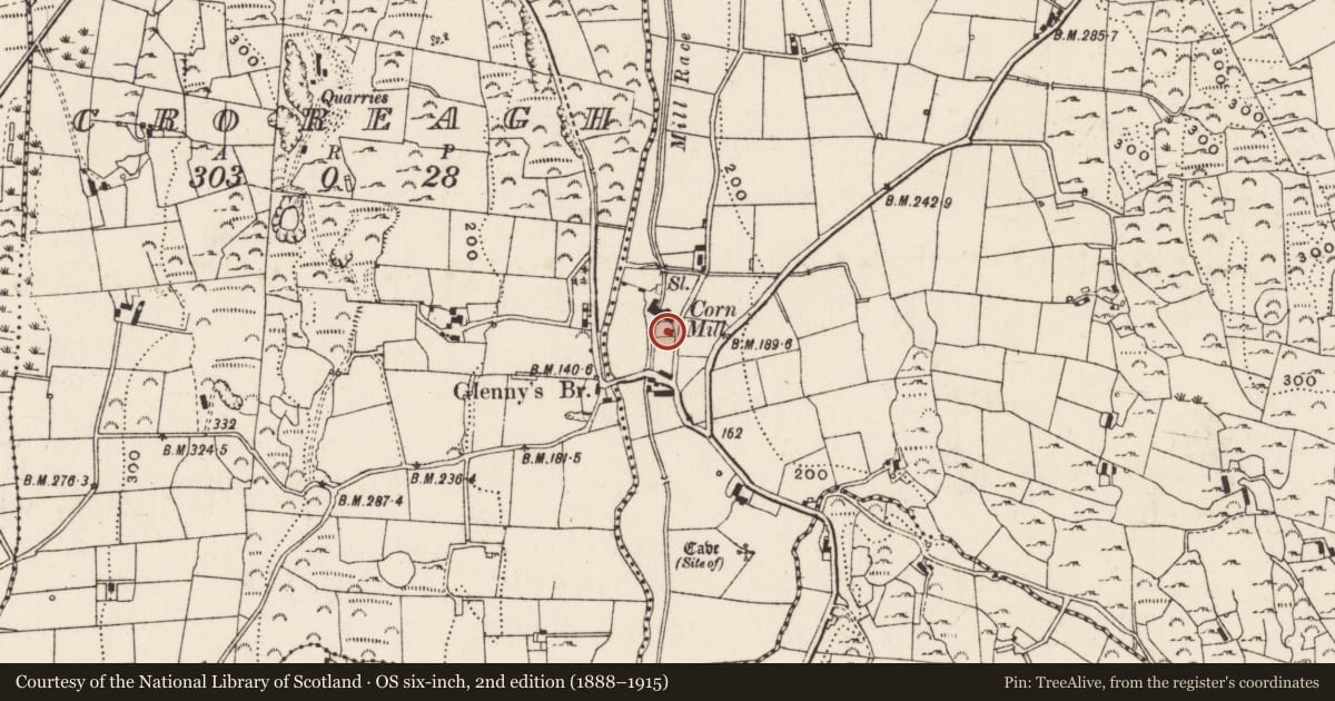 Ordnance Survey six-inch map, 2nd edition (1888–1915) covering the location of 14 Benagh Road, Desert, Newry, Mourne and Down, with a pin at the register's coordinates