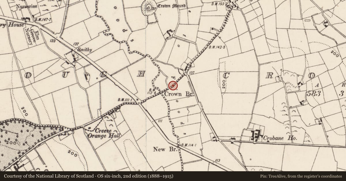 Ordnance Survey six-inch map, 2nd edition (1888–1915) covering the location of Crown Bridge, Creeve/Crobane, Newry, Mourne and Down, with a pin at the register's coordinates