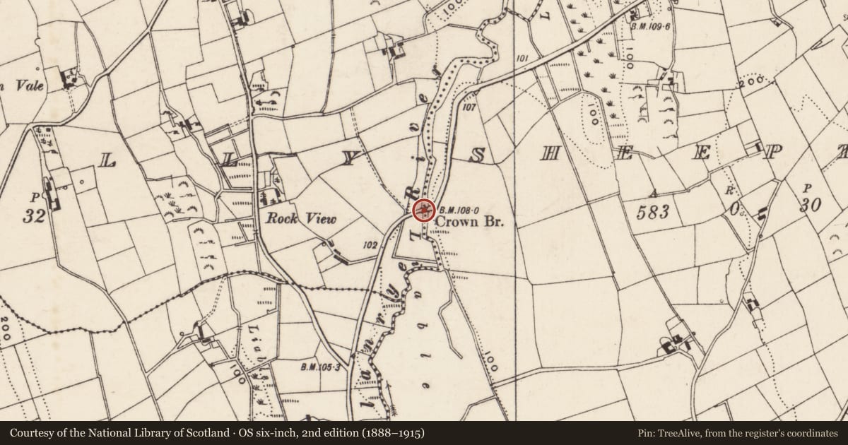 Ordnance Survey six-inch map, 2nd edition (1888–1915) covering the location of Crown Bridge New, Damolly/Sheeptown, Newry, Mourne and Down, with a pin at the register's coordinates