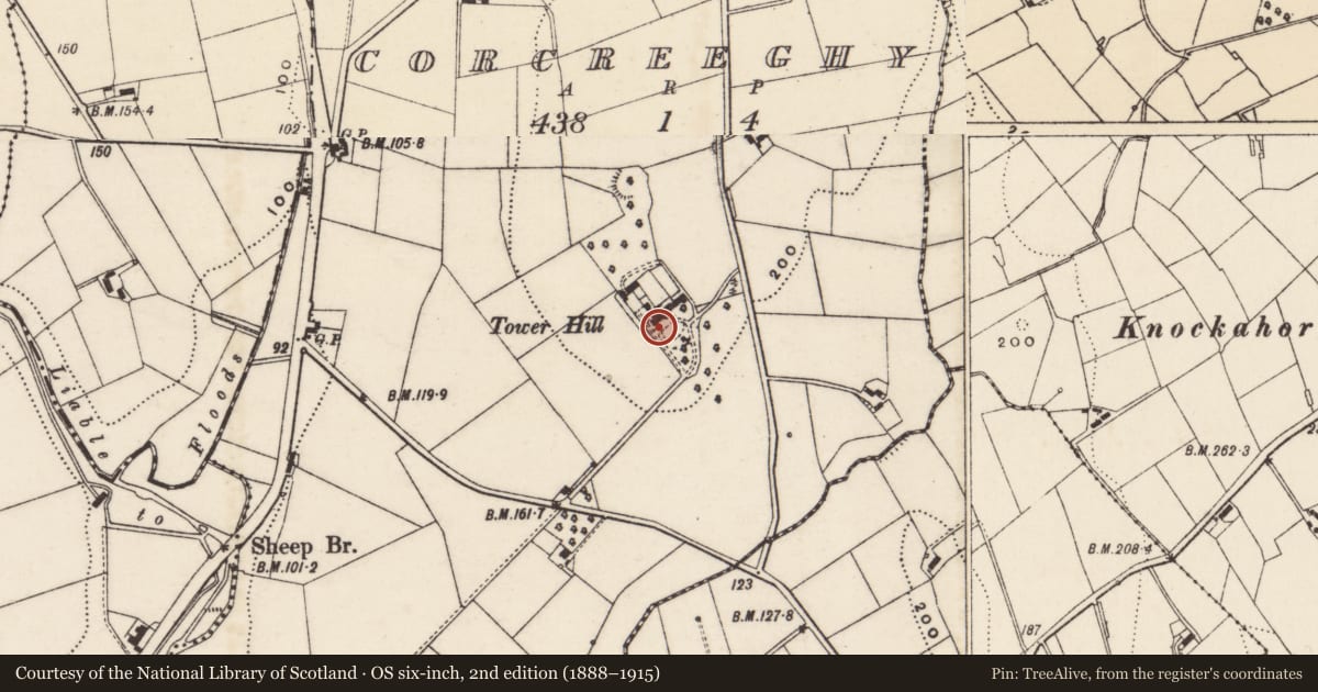 Ordnance Survey six-inch map, 2nd edition (1888–1915) covering the location of Tower Hill, Corcreeghy, Newry, Mourne and Down, with a pin at the register's coordinates