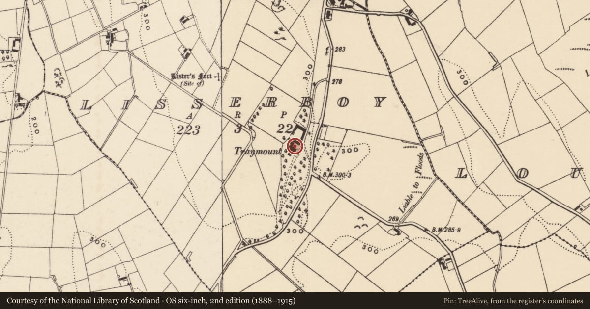 Ordnance Survey six-inch map, 2nd edition (1888–1915) covering the location of Traymount, Lisserboy, Newry, Mourne and Down, with a pin at the register's coordinates