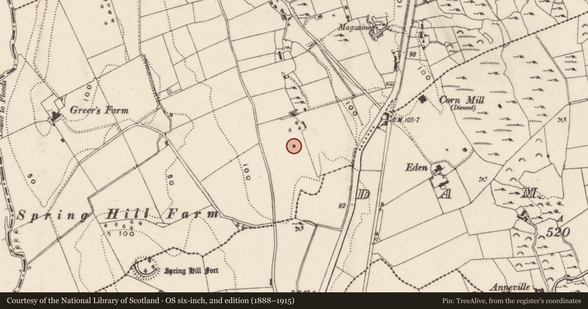 Ordnance Survey six-inch map, 2nd edition (1888–1915) covering the location of Moore Lodge, Cloghanramer, Newry, Mourne and Down, with a pin at the register's coordinates