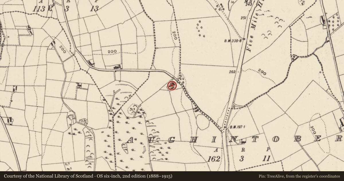 Ordnance Survey six-inch map, 2nd edition (1888–1915) covering the location of House SE of 15 Ballyblaugh Road, Aughintober, Newry, Mourne and Down, with a pin at the register's coordinates