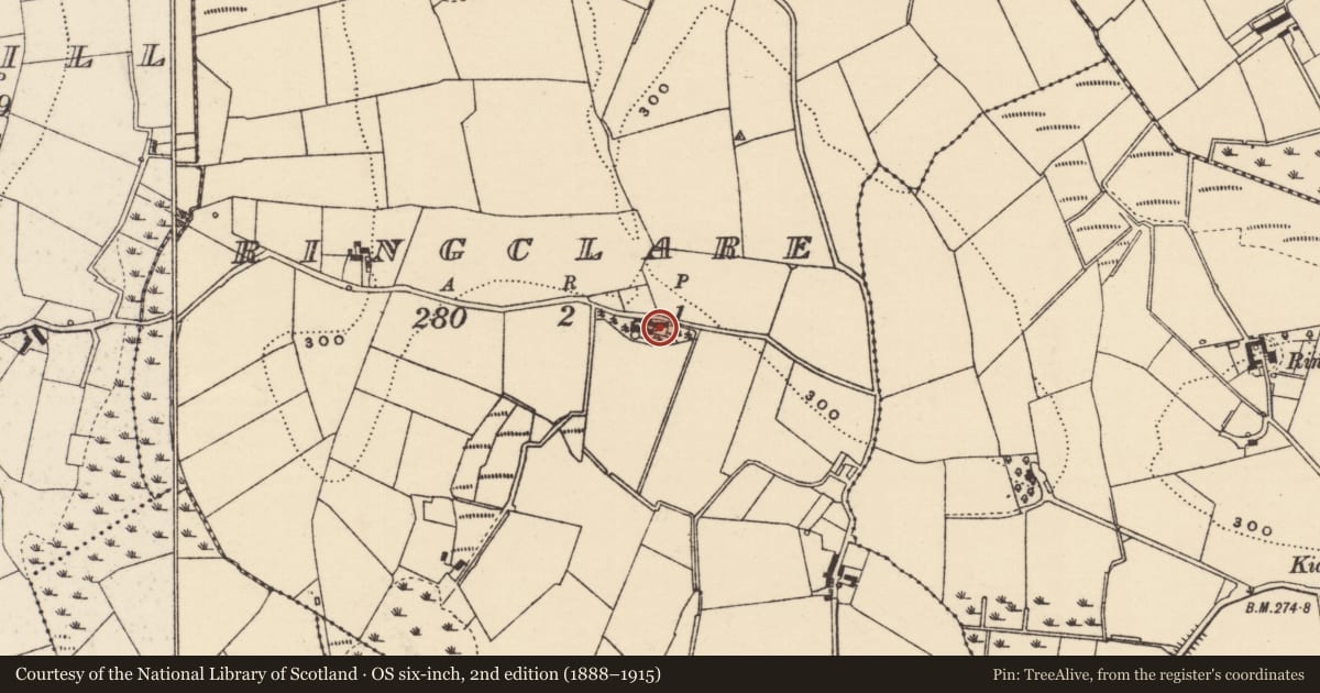 Ordnance Survey six-inch map, 2nd edition (1888–1915) covering the location of E of 14 Ringclare Road, Newry, Mourne and Down, with a pin at the register's coordinates
