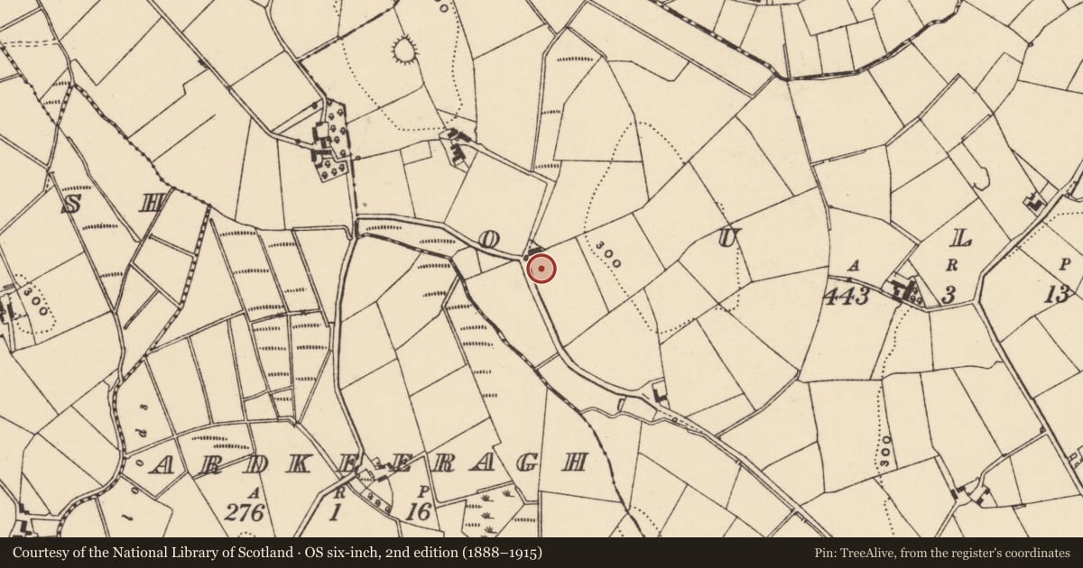 Ordnance Survey six-inch map, 2nd edition (1888–1915) covering the location of S of 16 Ardkeeragh Road, Ouley, Newry, Mourne and Down, with a pin at the register's coordinates