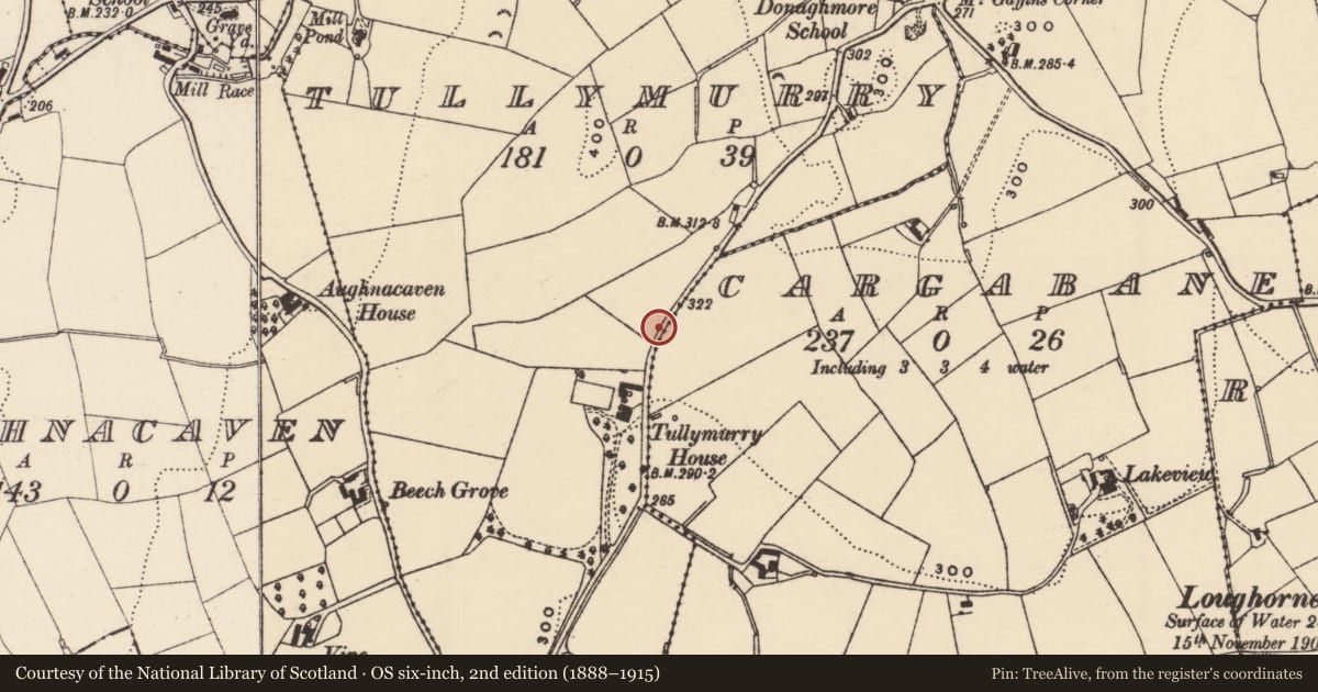 Ordnance Survey six-inch map, 2nd edition (1888–1915) covering the location of Pump at 3 Mountain View, Tullymurry, Newry, Mourne and Down, with a pin at the register's coordinates