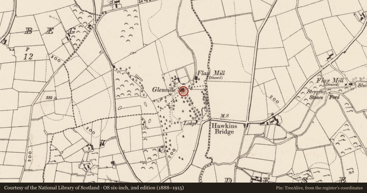 Ordnance Survey six-inch map, 2nd edition (1888–1915) covering the location of Chapel at Glenvale Convent, Saval More, Newry, Mourne and Down, with a pin at the register's coordinates
