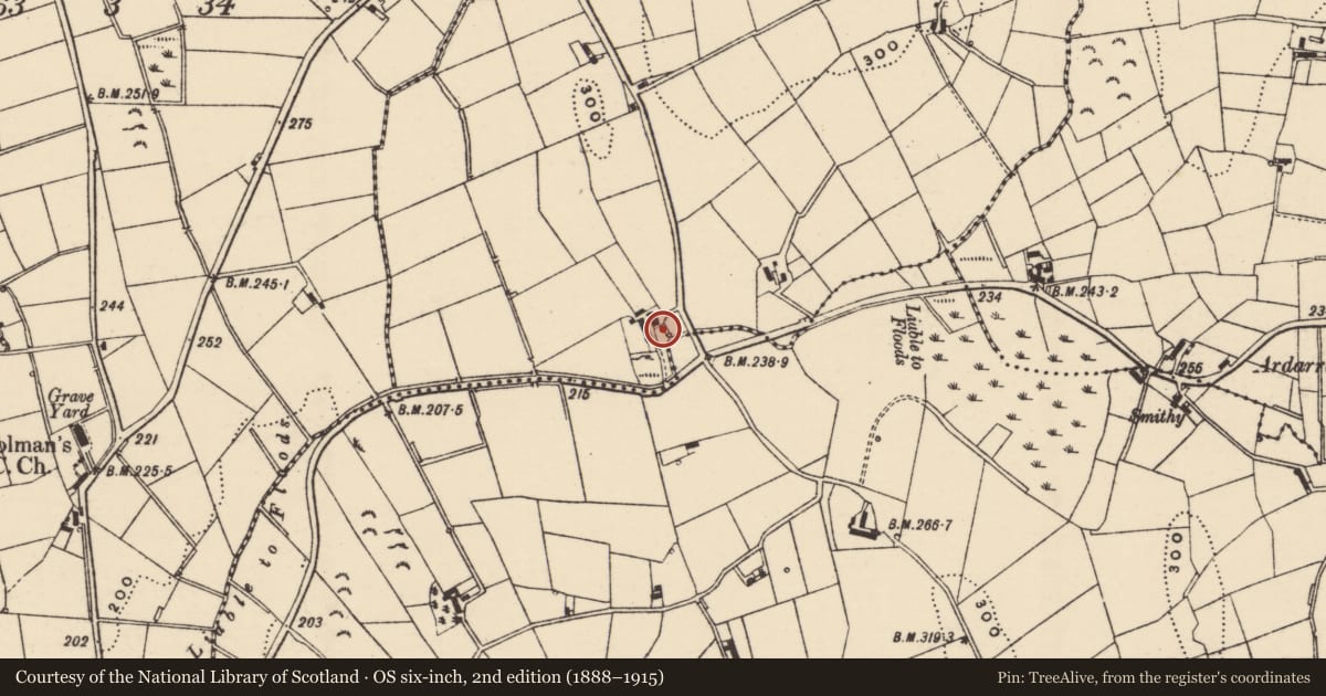 Ordnance Survey six-inch map, 2nd edition (1888–1915) covering the location of 23 Lisnaree Road, Newry, Mourne and Down, with a pin at the register's coordinates