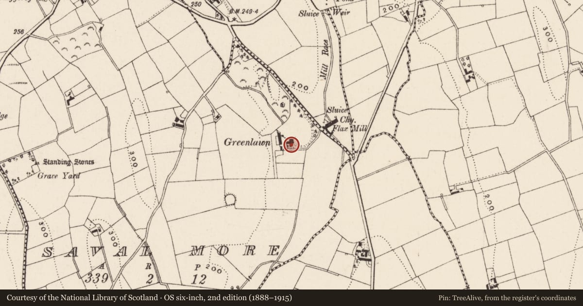 Ordnance Survey six-inch map, 2nd edition (1888–1915) covering the location of 15 Turnavall Road, Saval More, Newry, Mourne and Down, with a pin at the register's coordinates