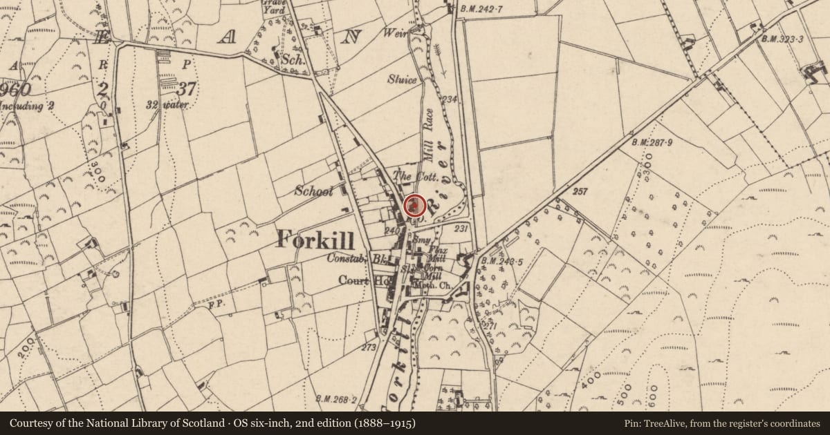 Ordnance Survey six-inch map, 2nd edition (1888–1915) covering the location of 14 Main Street, Shean, Newry, Mourne and Down, with a pin at the register's coordinates