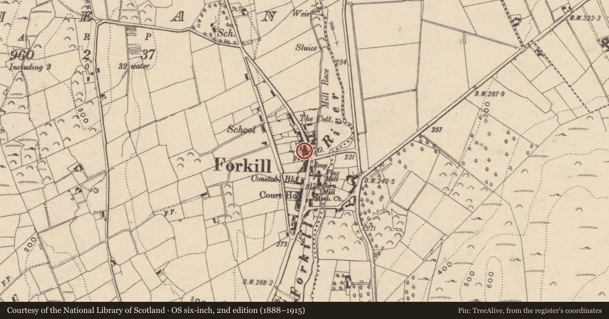 Ordnance Survey six-inch map, 2nd edition (1888–1915) covering the location of 27-31 Main Street, Shean, Newry, Mourne and Down, with a pin at the register's coordinates